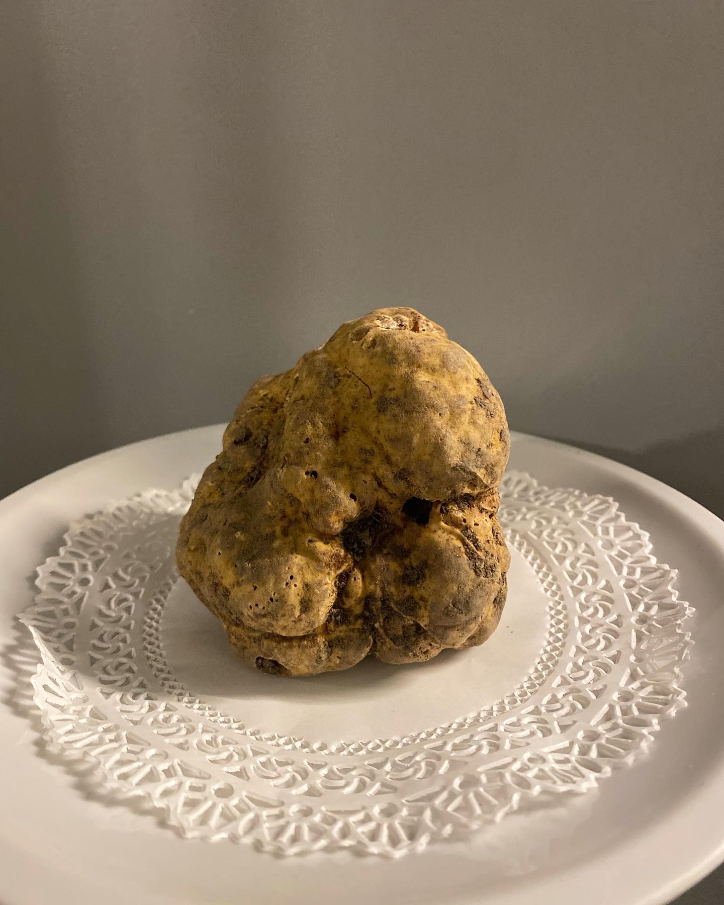 316413939_471484321635752_6363003617205399851_n