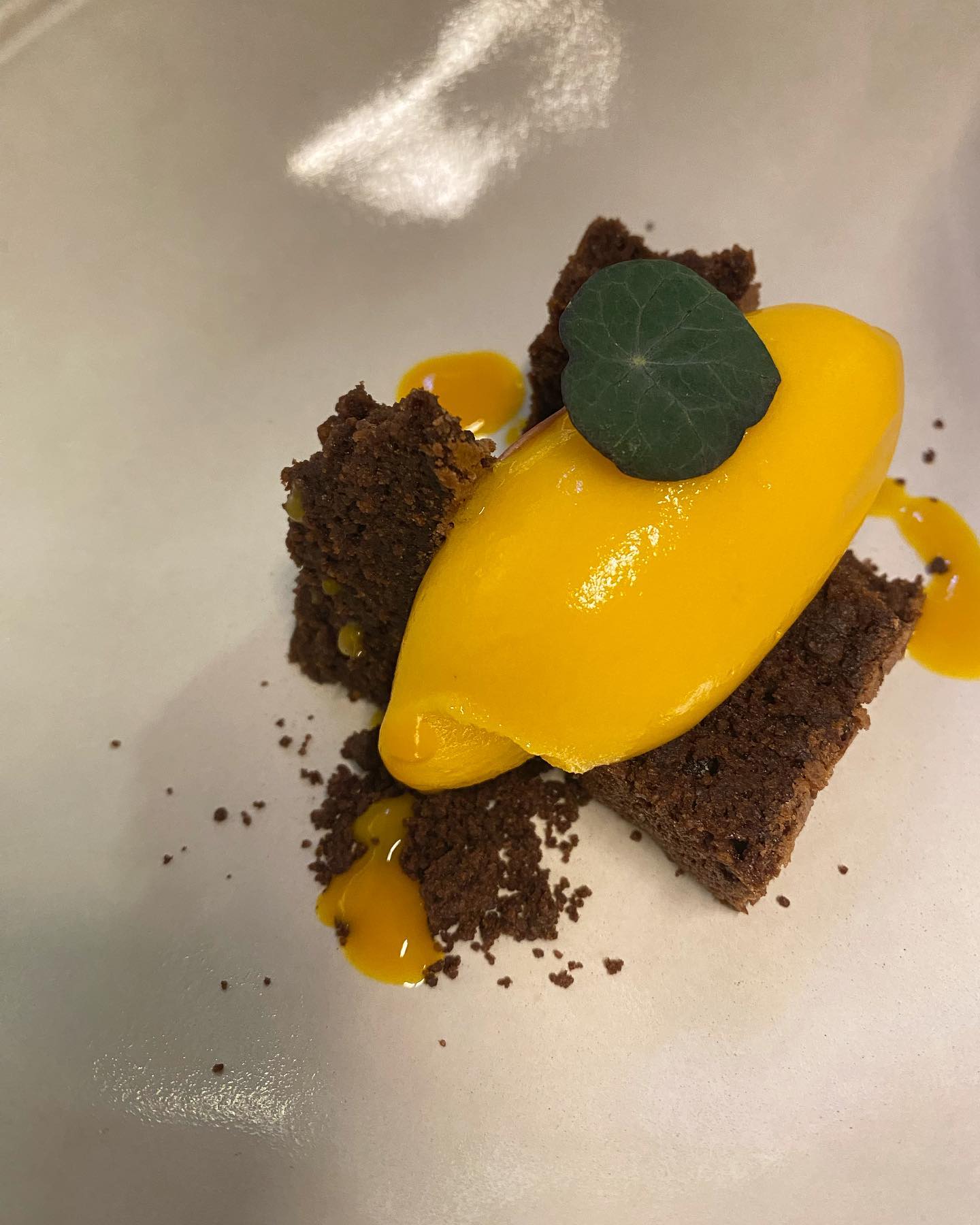 327899801_576699793994701_6208083705934877160_n