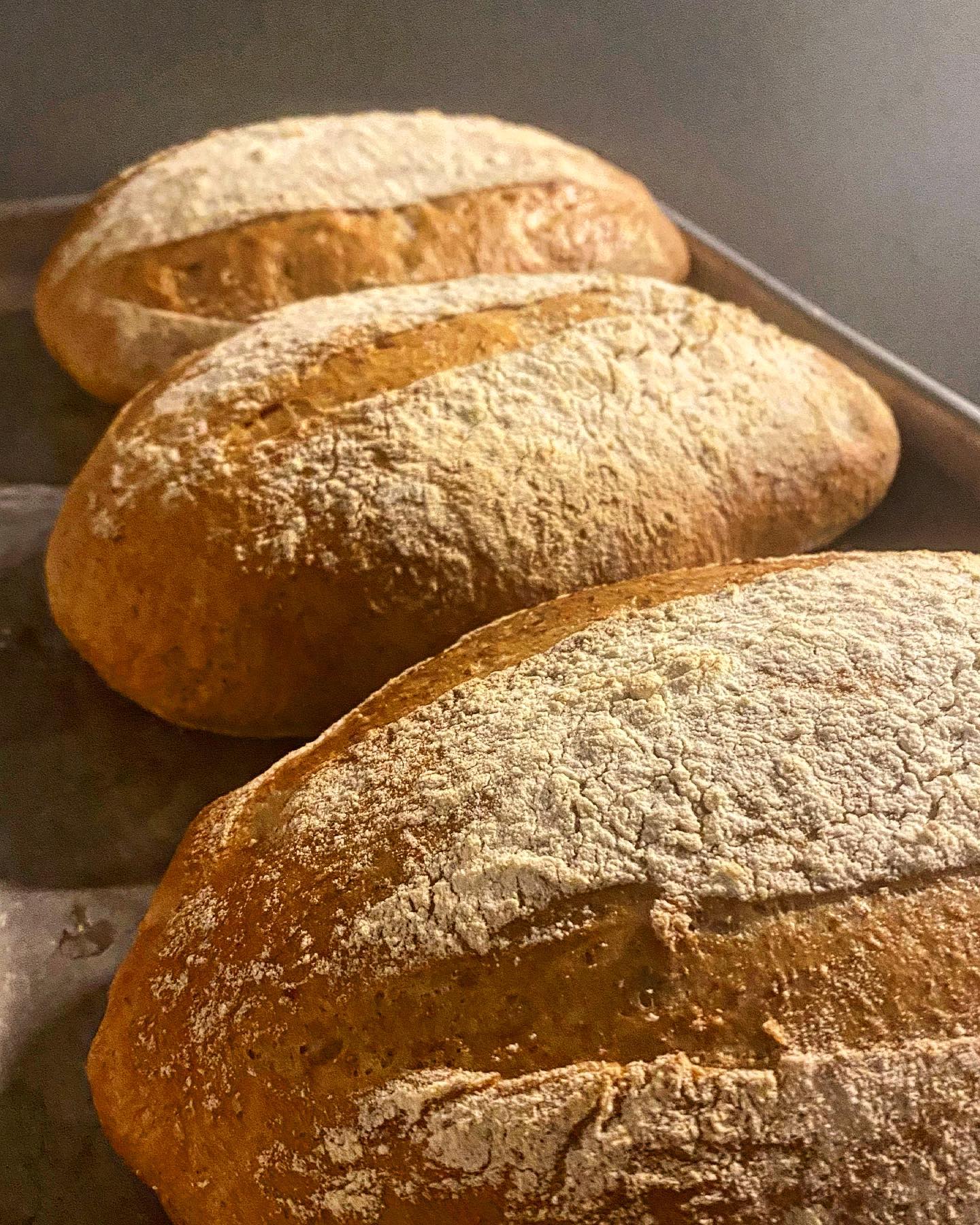 340871874_911096860012908_6928760662705937828_n