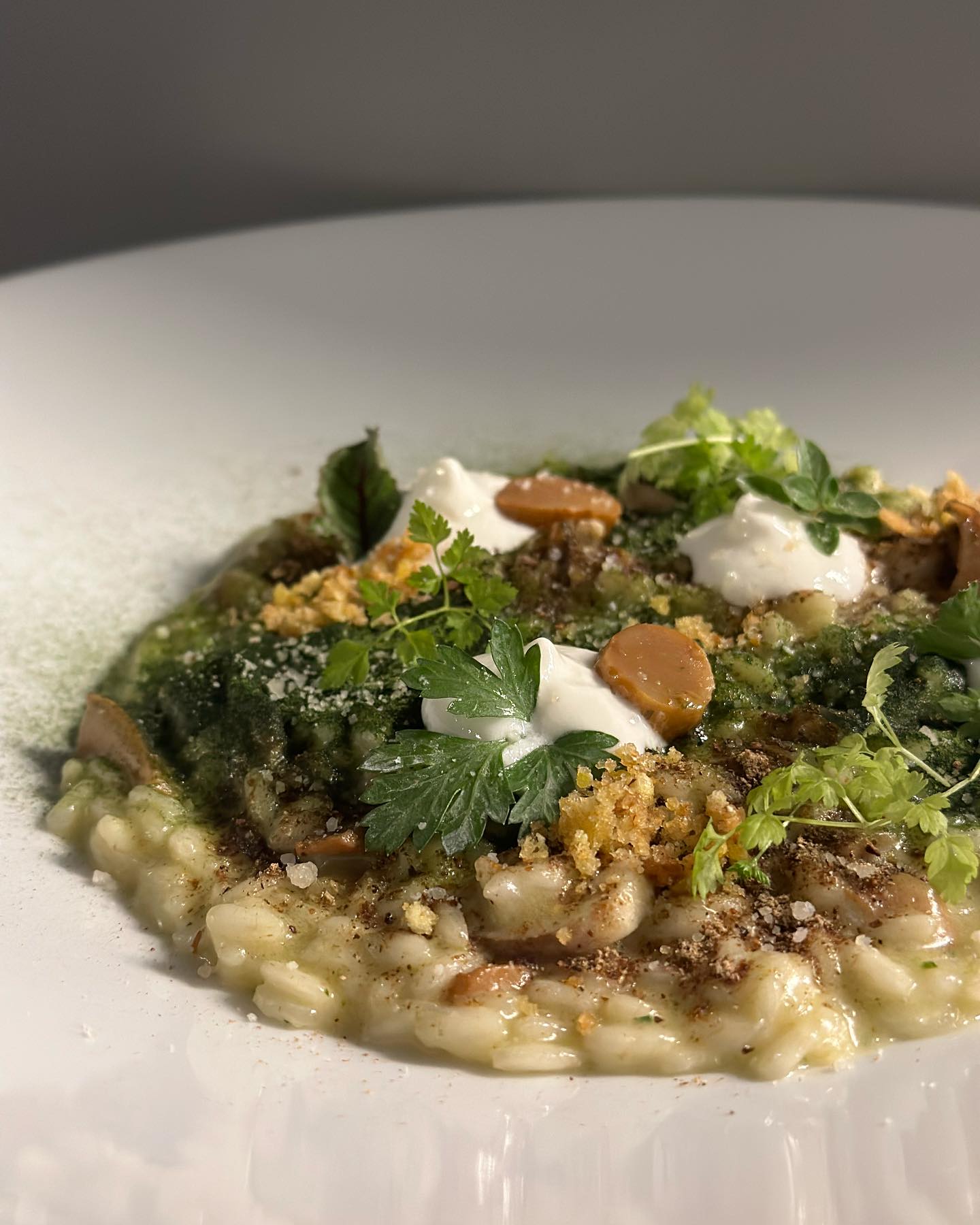 360113423_602496745201175_7590738424964872566_n